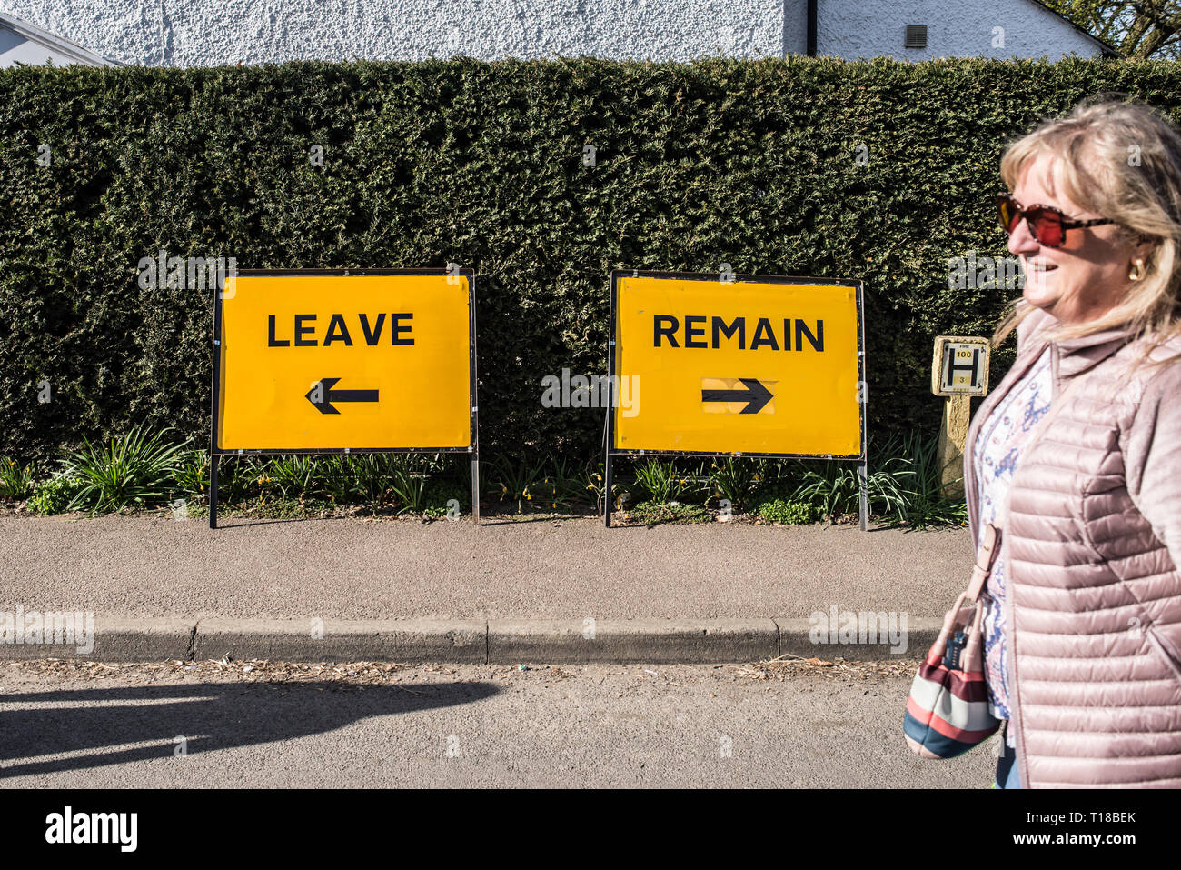 Lustige Witze über Brexit: Zwei satirische comic Schilder mit den Worten verlassen und bleiben in Bezug auf Brexit auf einer Straße bei thriplow Narzisse Wochenende 2019, Thriplow, Cambridge, England, UK. Credit: Nicola Ferrari/Alamy Leben Nachrichten. Stockfoto
