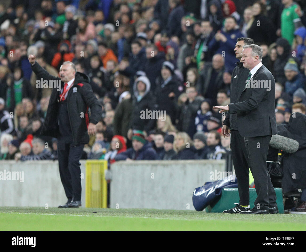 Windsor Park, Belfast, Nordirland. 24 Mär, 2019. UEFA Europameisterschaft Qualifikation Fußball, Nordirland gegen Belarus; Nordirland Trainer Michael O'Neill beruhigt seine Spieler während Belarus Coach Igor Kriushenko fordert seine Spieler auf Kredit: Aktion plus Sport/Alamy leben Nachrichten Stockfoto