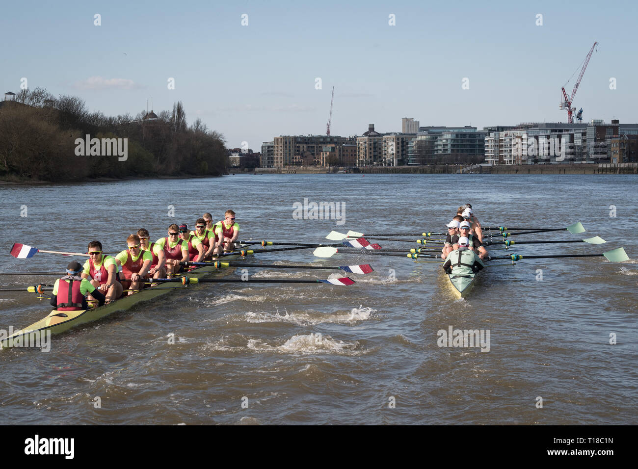 London, Großbritannien. 24 Mär, 2019. 24. März 2019. Boat Race Fixture. CUBC vs Oxford Brookes. Die Vorbereitung auf die Regatten, Oxford und Cambridge Clubs beteiligen sich eine Reihe von Vorrichtungen gegen andere Vereine, Rudern die gleichen Tideway Kurs als für das Boot Rennen verwendet. CUBC Crewliste (Hellblau T-shirts): - Schlaganfall: Natan Wegrzycki-Szymczyk, 7: Freddie Davidson, 6: Sam Hookway, 5: Callum Sullivan, 4: Dara Alizadeh, 3: Grant Bitler, 2: James Cracknell, Bug: Dave Bell, Cox: Matthew Holland Credit: Duncan Grove/Alamy leben Nachrichten Stockfoto