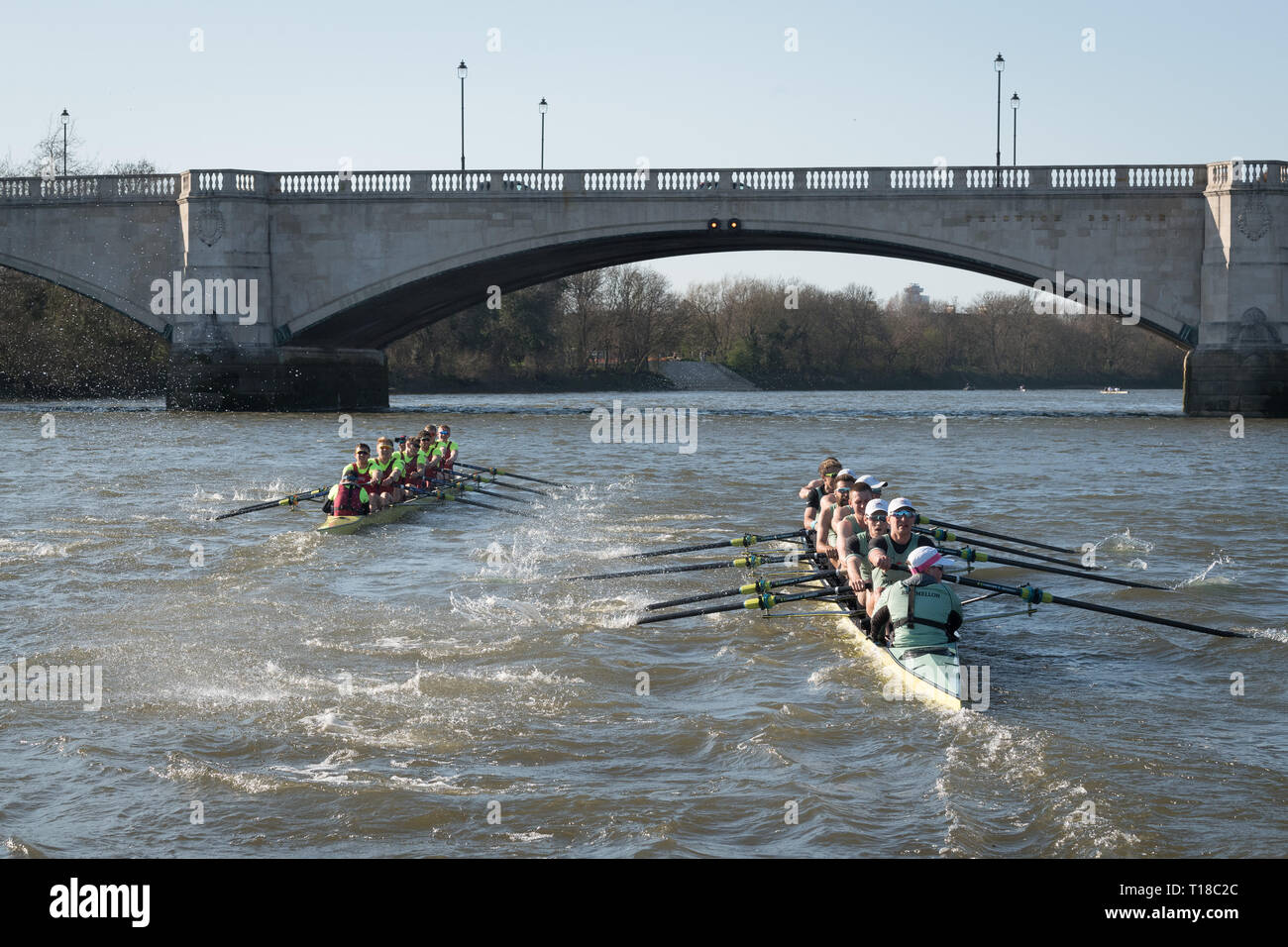 London, Großbritannien. 24 Mär, 2019. 24. März 2019. Boat Race Fixture. CUBC vs Oxford Brookes. Die Vorbereitung auf die Regatten, Oxford und Cambridge Clubs beteiligen sich eine Reihe von Vorrichtungen gegen andere Vereine, Rudern die gleichen Tideway Kurs als für das Boot Rennen verwendet. CUBC Crewliste (Hellblau T-shirts): - Schlaganfall: Natan Wegrzycki-Szymczyk, 7: Freddie Davidson, 6: Sam Hookway, 5: Callum Sullivan, 4: Dara Alizadeh, 3: Grant Bitler, 2: James Cracknell, Bug: Dave Bell, Cox: Matthew Holland Credit: Duncan Grove/Alamy leben Nachrichten Stockfoto