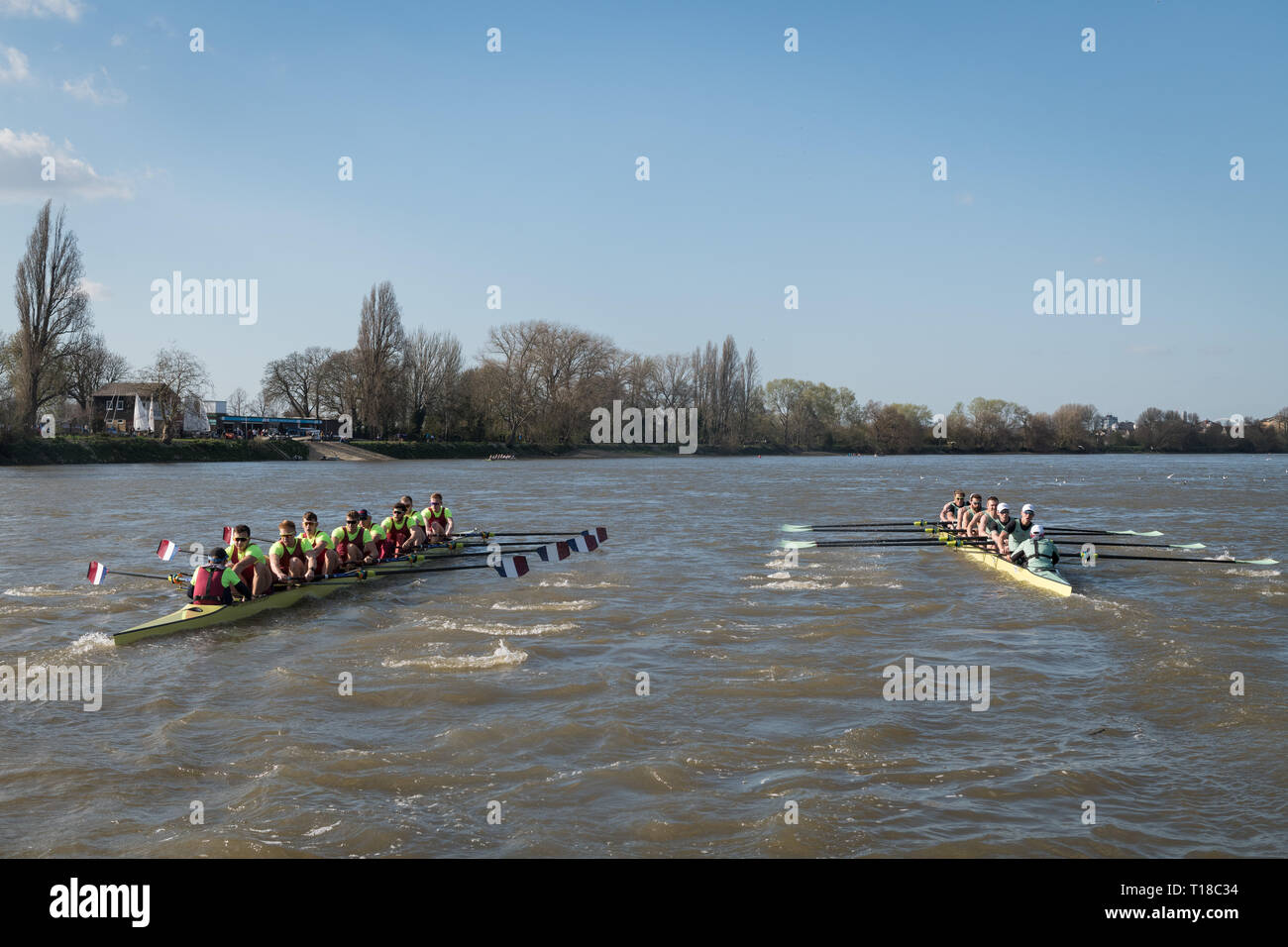 London, Großbritannien. 24 Mär, 2019. 24. März 2019. Boat Race Fixture. CUBC vs Oxford Brookes. Die Vorbereitung auf die Regatten, Oxford und Cambridge Clubs beteiligen sich eine Reihe von Vorrichtungen gegen andere Vereine, Rudern die gleichen Tideway Kurs als für das Boot Rennen verwendet. CUBC Crewliste (Hellblau T-shirts): - Schlaganfall: Natan Wegrzycki-Szymczyk, 7: Freddie Davidson, 6: Sam Hookway, 5: Callum Sullivan, 4: Dara Alizadeh, 3: Grant Bitler, 2: James Cracknell, Bug: Dave Bell, Cox: Matthew Holland Credit: Duncan Grove/Alamy leben Nachrichten Stockfoto