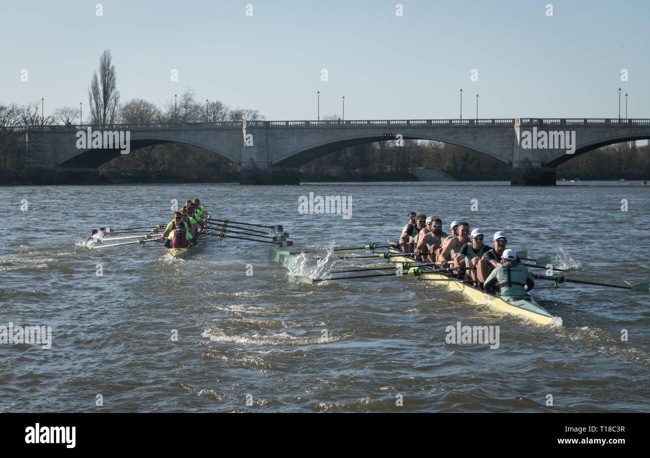 London, Großbritannien. 24 Mär, 2019. 24. März 2019. Boat Race Fixture. CUBC vs Oxford Brookes. Die Vorbereitung auf die Regatten, Oxford und Cambridge Clubs beteiligen sich eine Reihe von Vorrichtungen gegen andere Vereine, Rudern die gleichen Tideway Kurs als für das Boot Rennen verwendet. CUBC Crewliste (Hellblau T-shirts): - Schlaganfall: Natan Wegrzycki-Szymczyk, 7: Freddie Davidson, 6: Sam Hookway, 5: Callum Sullivan, 4: Dara Alizadeh, 3: Grant Bitler, 2: James Cracknell, Bug: Dave Bell, Cox: Matthew Holland Credit: Duncan Grove/Alamy leben Nachrichten Stockfoto