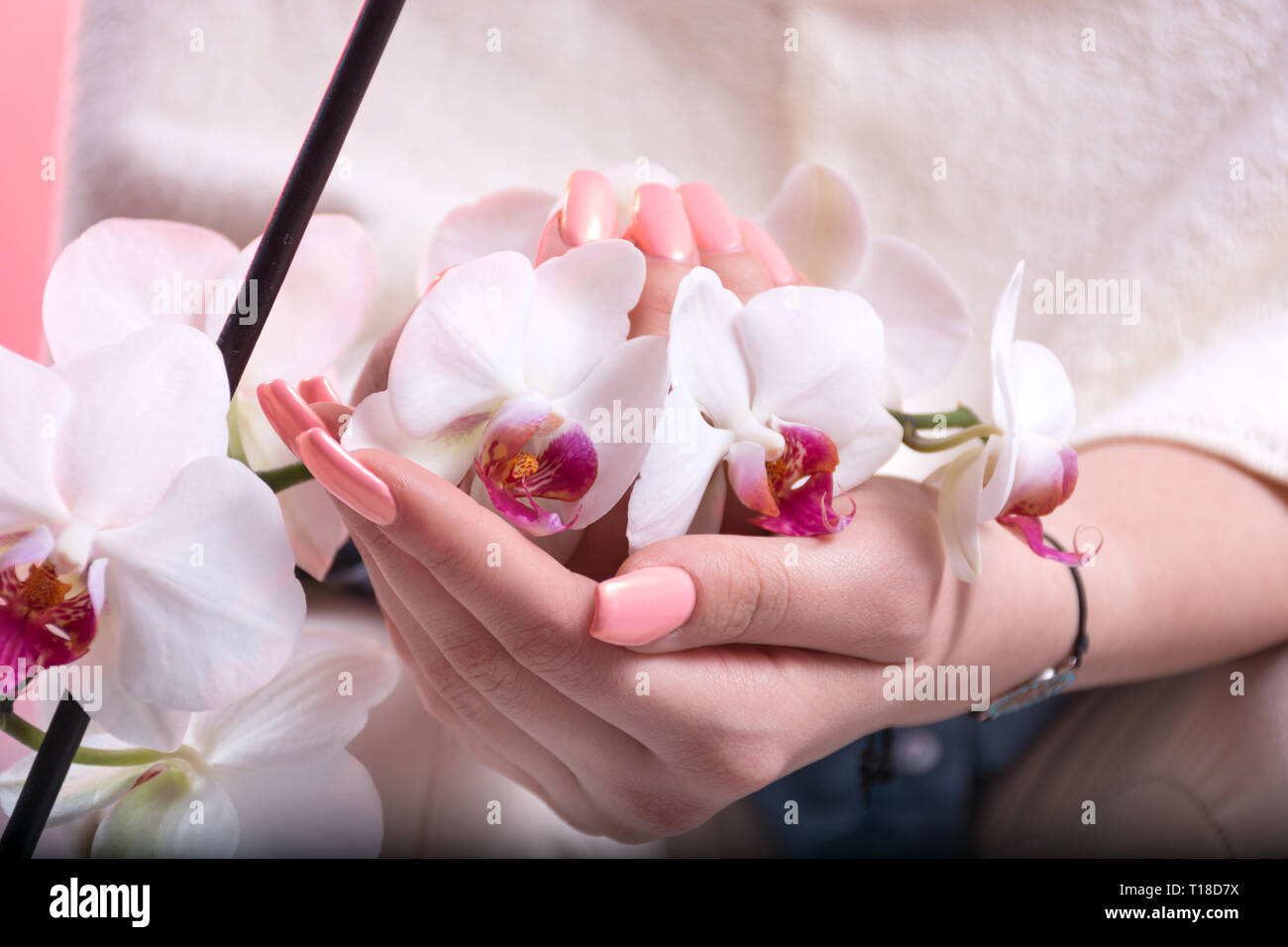 Junge Mädchen Hände mit rosa Feder Maniküre auf die Nägel halten weiße Orchideen Blüte im Beauty Studio. Maniküre und Schönheit Konzept. Nahaufnahme Stockfoto