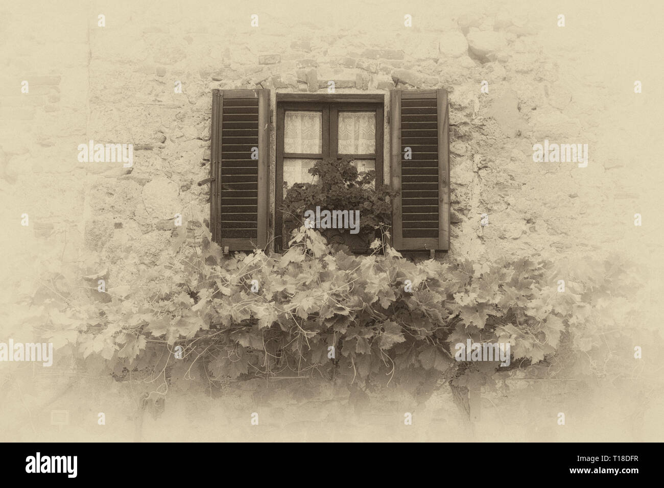 Ein Weingut in der Toskana, Italien. Stockfoto