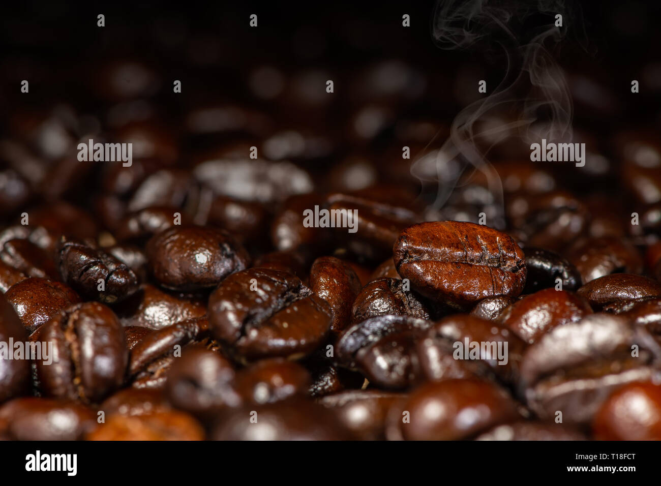 Dunkel Braun gerösteten Kaffeebohnen mit Rauch unter künstlichem Licht für Hintergrund Stockfoto