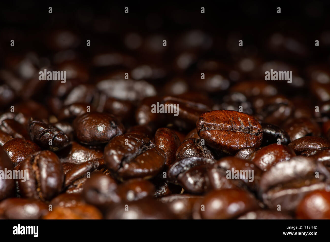 Dunkel Braun gerösteten Kaffeebohnen unter künstlichem Licht für Hintergrund Stockfoto