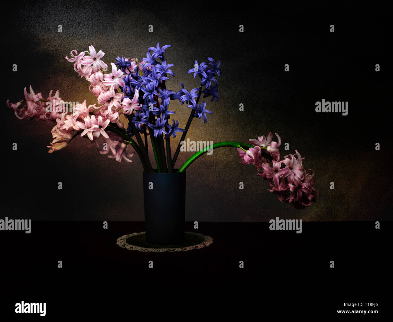 Dunkle Hyazinthen hyacinthus, blumige Komposition. Künstlerische licht Maltechnik und kunstvoll Strukturierte für Oldtimer, Hell-Dunkel-Effekt. Stockfoto