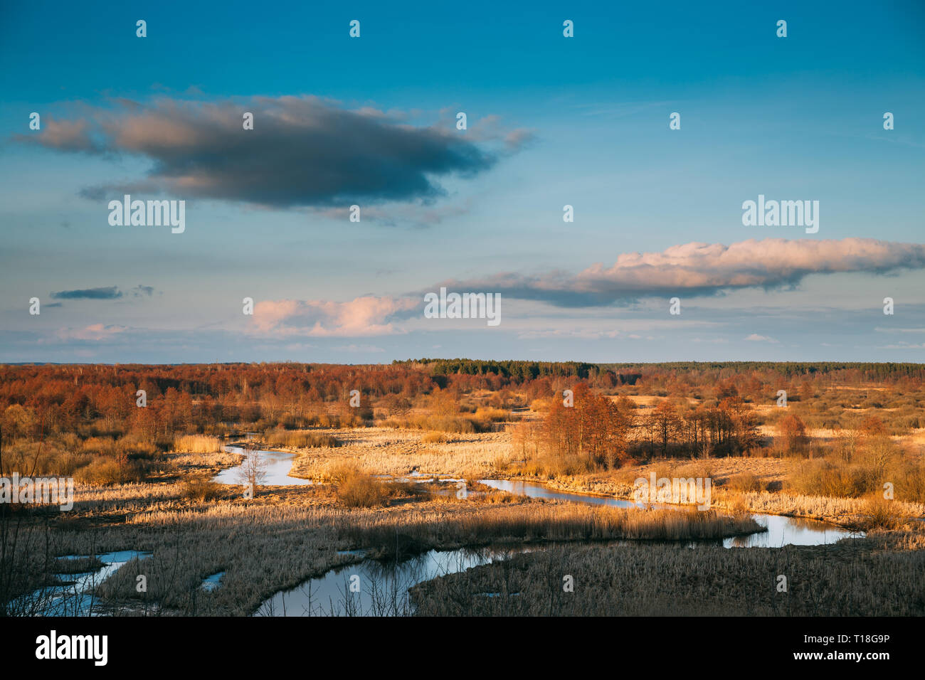 Schönen Sonnenuntergang über Wald- und Flusslandschaft im Spätherbst oder Frühjahr Saison. Malerischer Blick auf Abendhimmel. Goldenen Farben der Natur Stockfoto