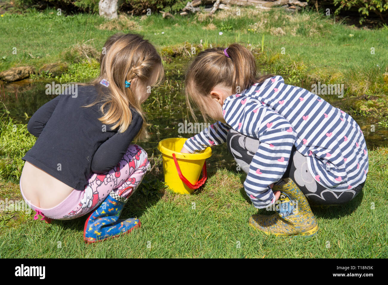 Zwei junge Mädchen Teich Eintauchen in Garten Tiere Teich Kaulquappen