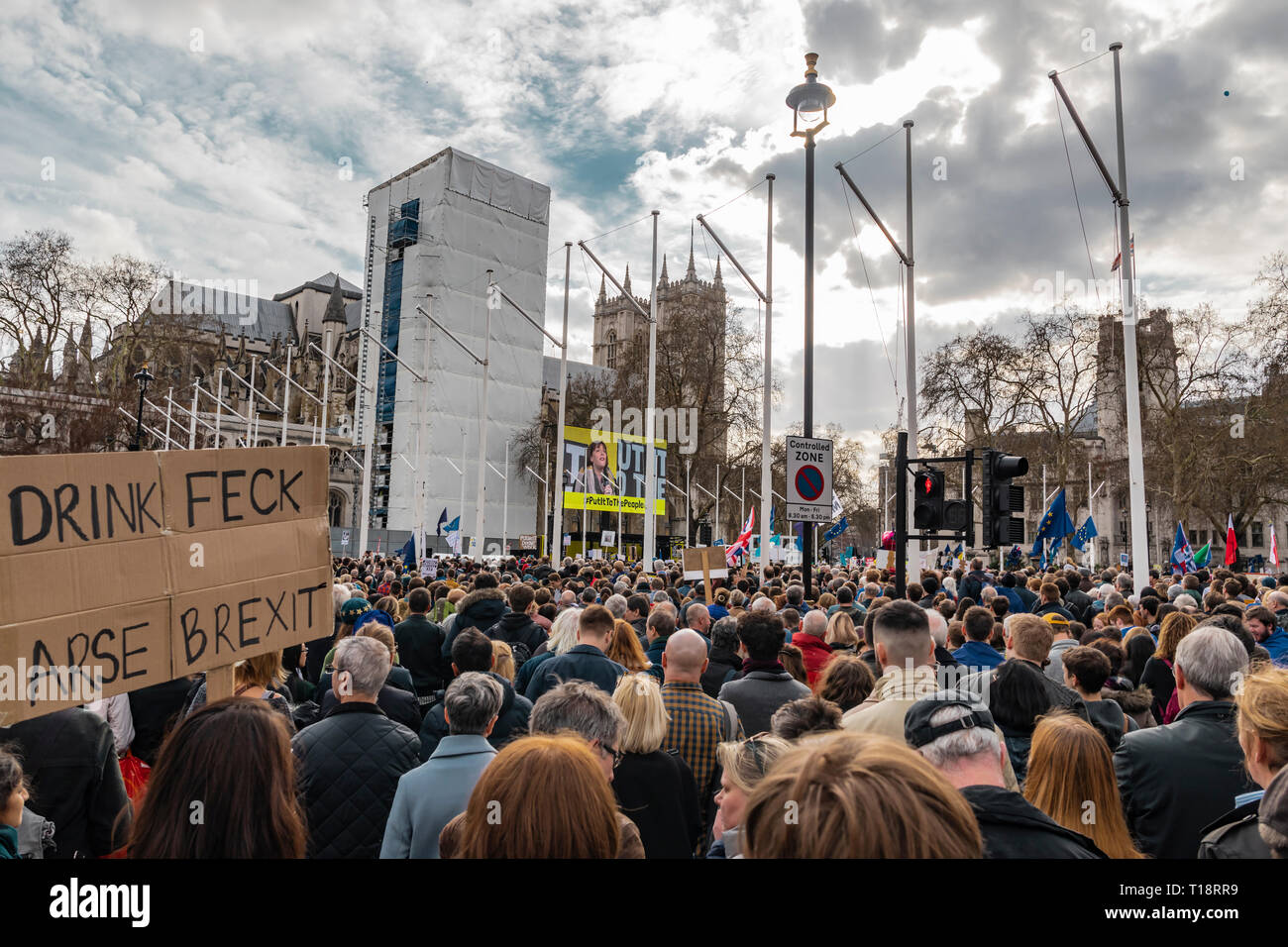 London, Großbritannien, 23. März 2019: eine Million Menschen in Westminster versammelt mit Bannern gegen Brexit zu protestieren. Stockfoto