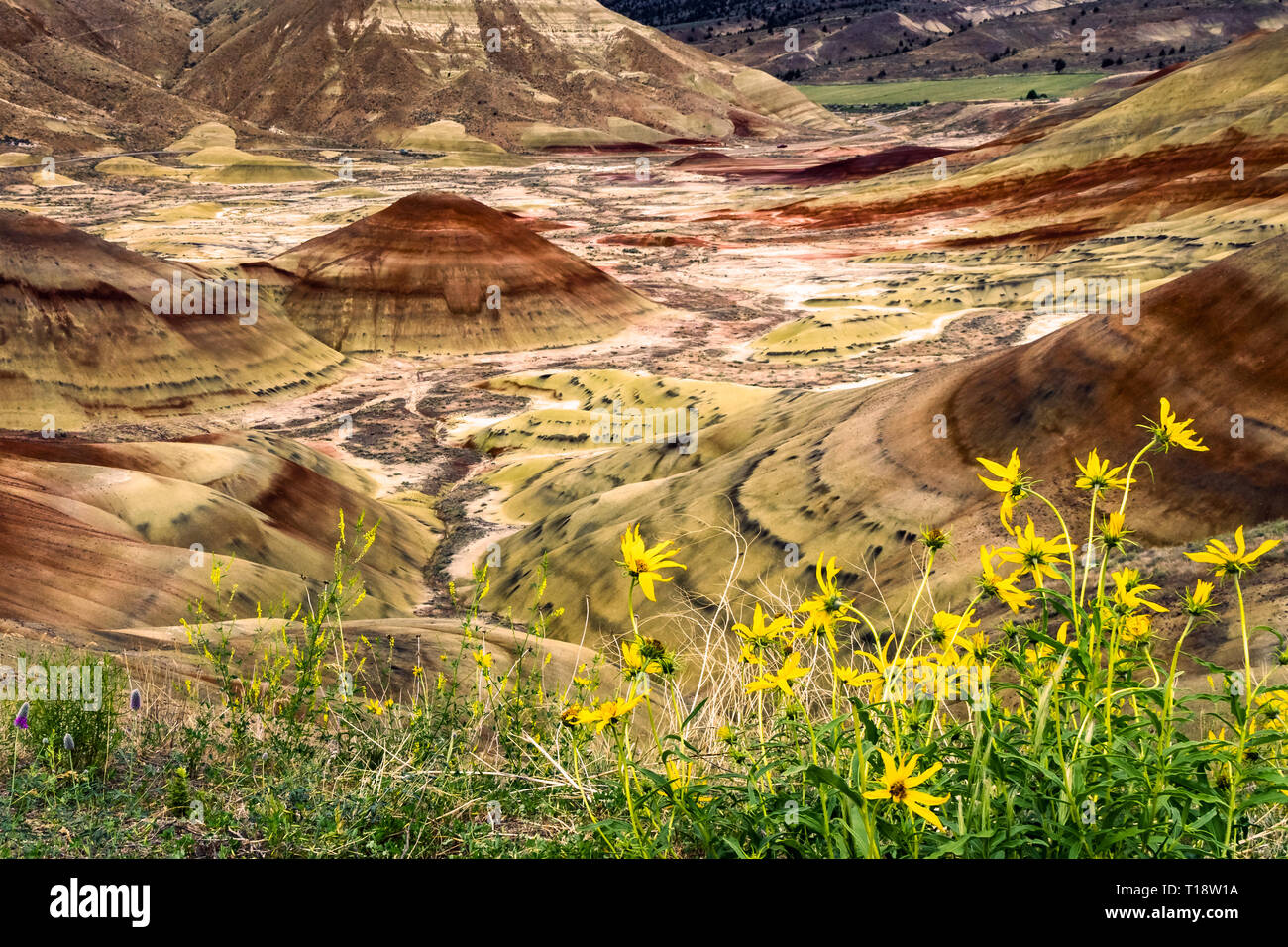 Sedimentgestein Bildung mit bunten geologische Schichten erodiert. Die malerische Landschaft. Badlands Landschaft in Painted Hills, Mitchell, Central Oregon, USA. Stockfoto