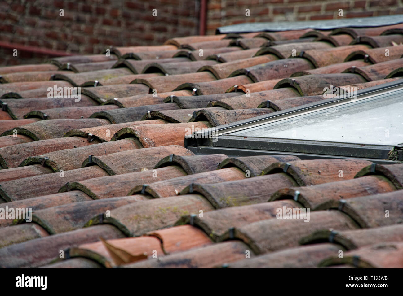 Dach Fenster tileswith, mittelalterliche alte Dachziegel