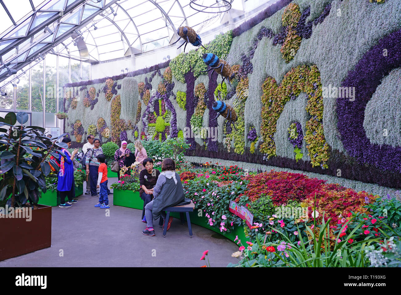 SYDNEY, AUSTRALIEN - 18 May 2018 - Blick auf den Kelch, ein Ereignis und Ausstellungsflächen mit einem großen grünen lebenden Anlage Wand in den Royal Botanical Gardens in S Stockfoto