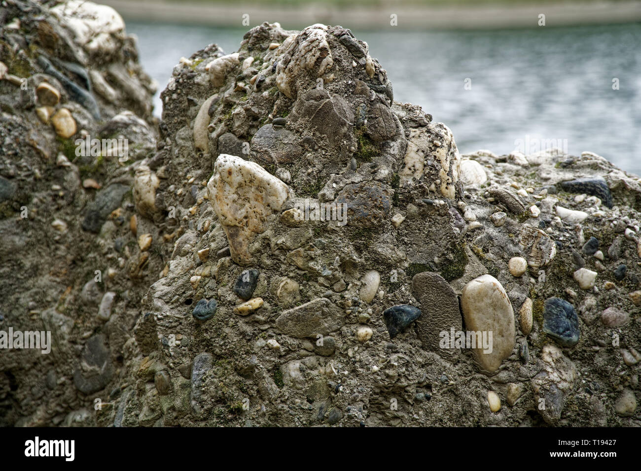 Alte Steinmauer mit Efeu als backgroundgreen Moos an der Wand. Stockfoto