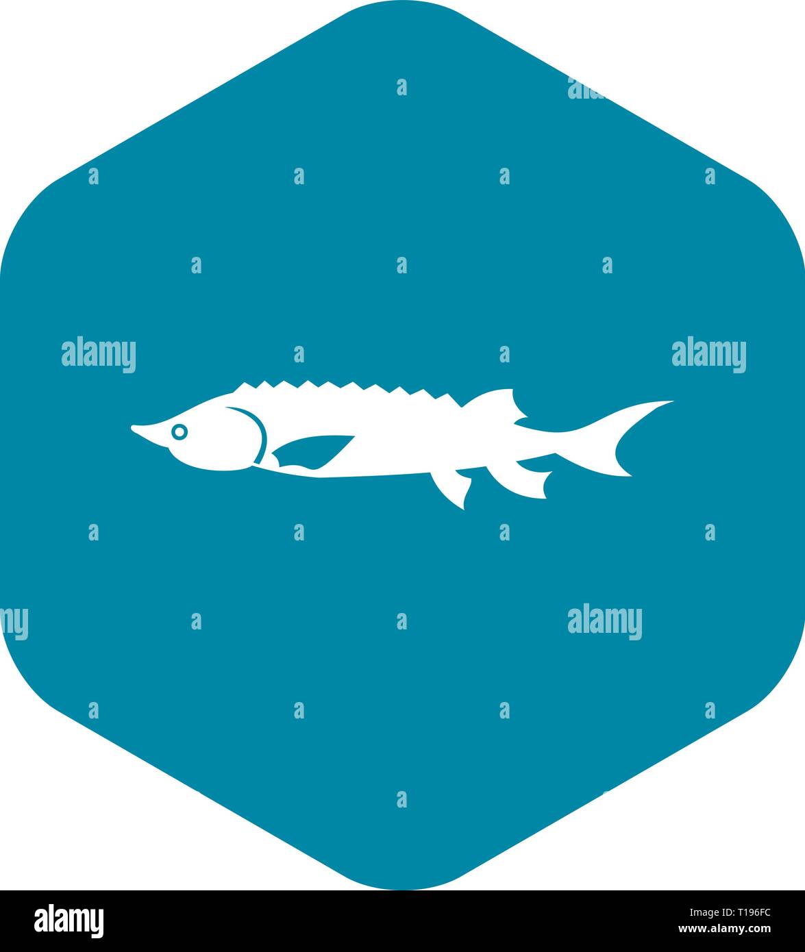 Frischen Stor Fisch Symbol Einfachen Stil Vektor Abbildung Bild