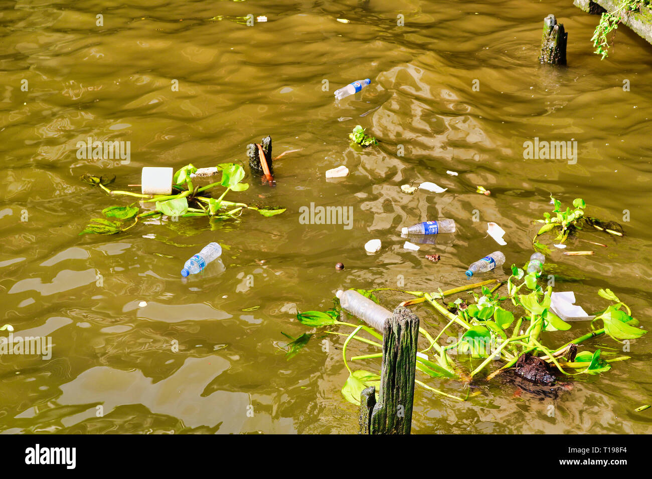Dieses einzigartige Foto zeigt, wie das Wasser verunreinigt ist mit plastik Müll im Bangkok Fluss Mae Nam Chao Phraya. Stockfoto