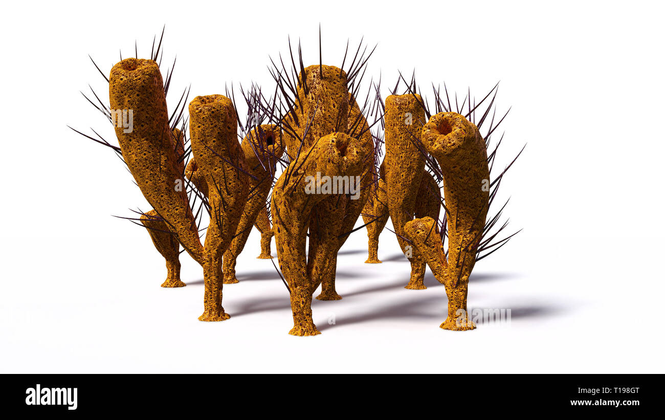 Gruppe von Pirania, Schwamm Arten aus dem mittleren Kambrium Burgess Shale, isoliert auf weißem Hintergrund (3d paleoart Abbildung) Stockfoto