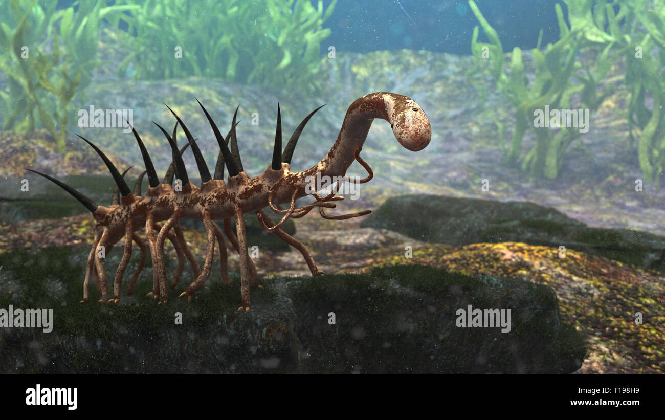 Hallucigenia, prähistorische aquatische Tierarten aus der kambrischen Periode (3D-Rendering) paleoart Stockfoto