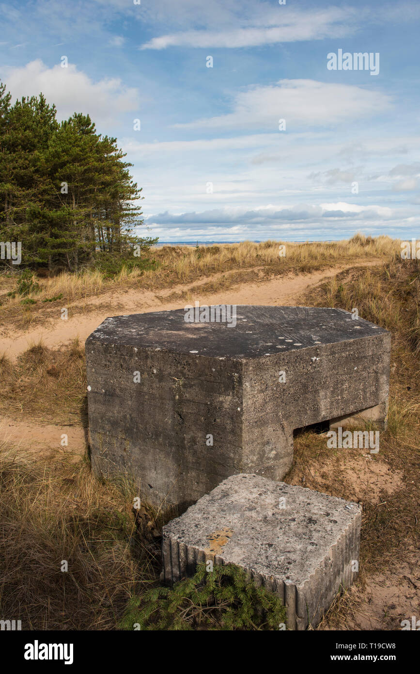 Weltkrieg 2 Bunker bei Tentsmuir National Nature Reserve, Fife, Schottland. Stockfoto