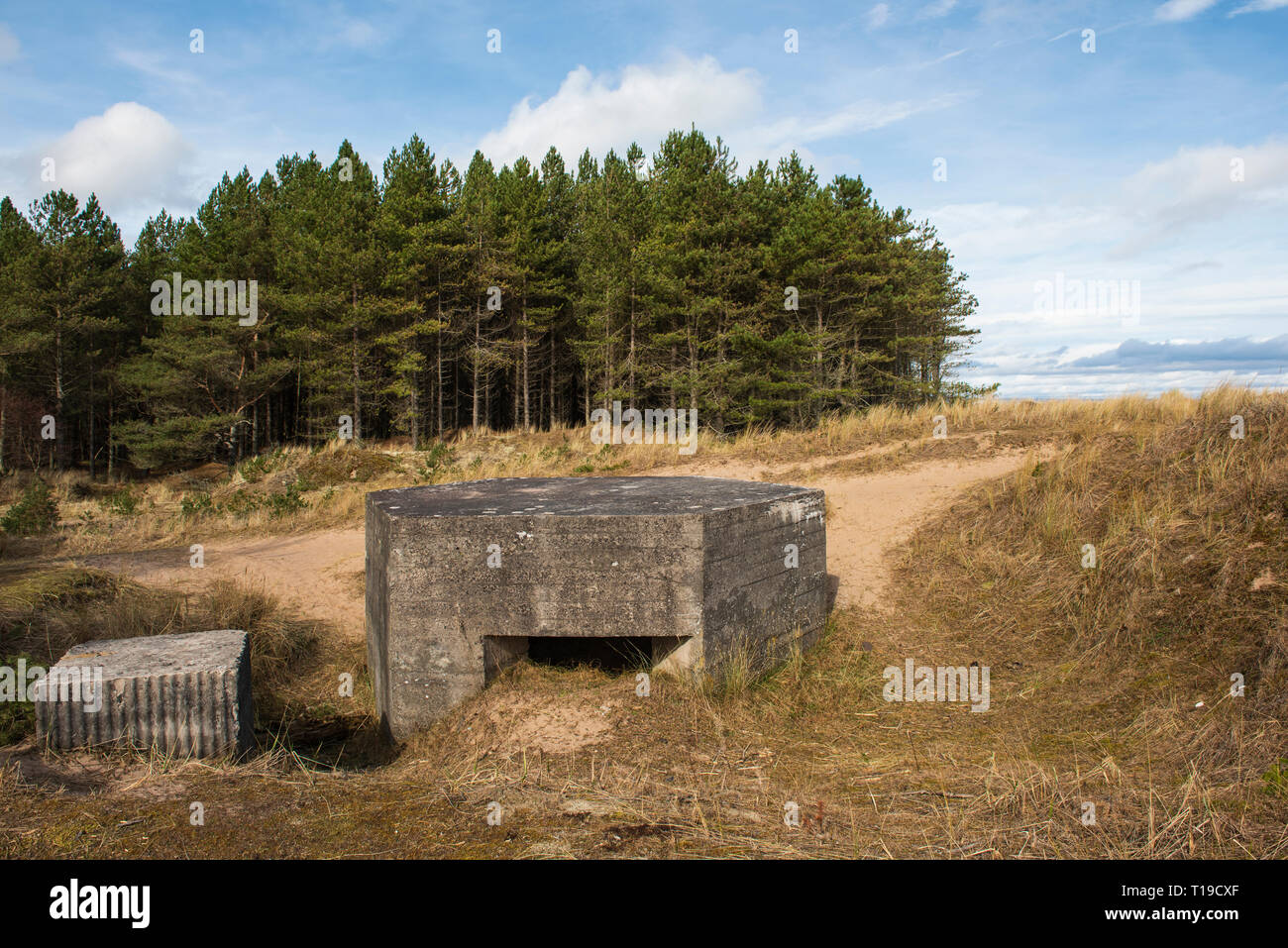 Weltkrieg 2 Bunker bei Tentsmuir National Nature Reserve, Fife, Schottland. Stockfoto