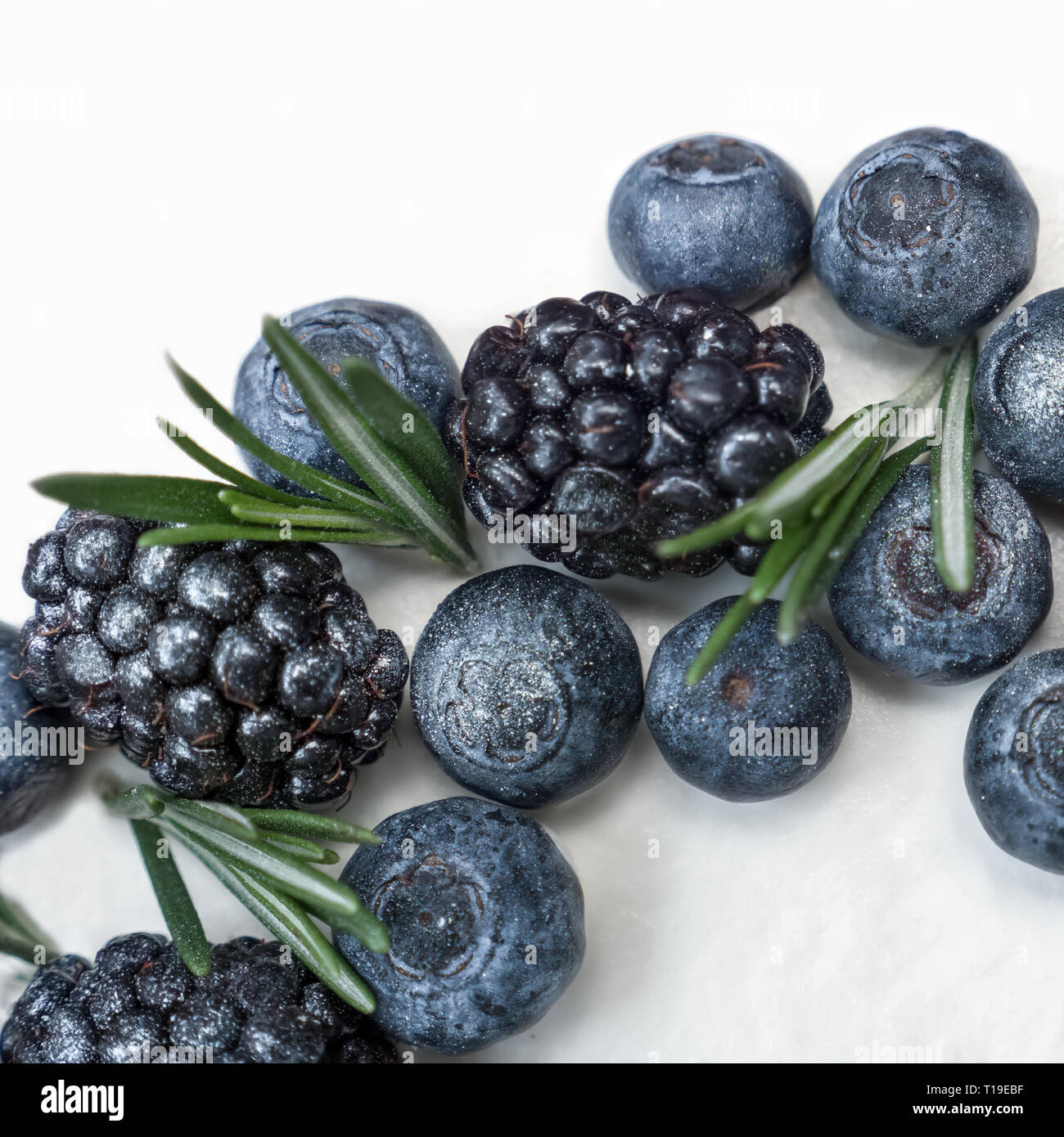Kuchen mit Heidelbeeren, blackbarry und Rosmarin. Dekorieren Kuchen. Backen, Süßigkeiten, Konfektion, Lutscher, Creme. Gesunde Ernährung Konzept. Stockfoto