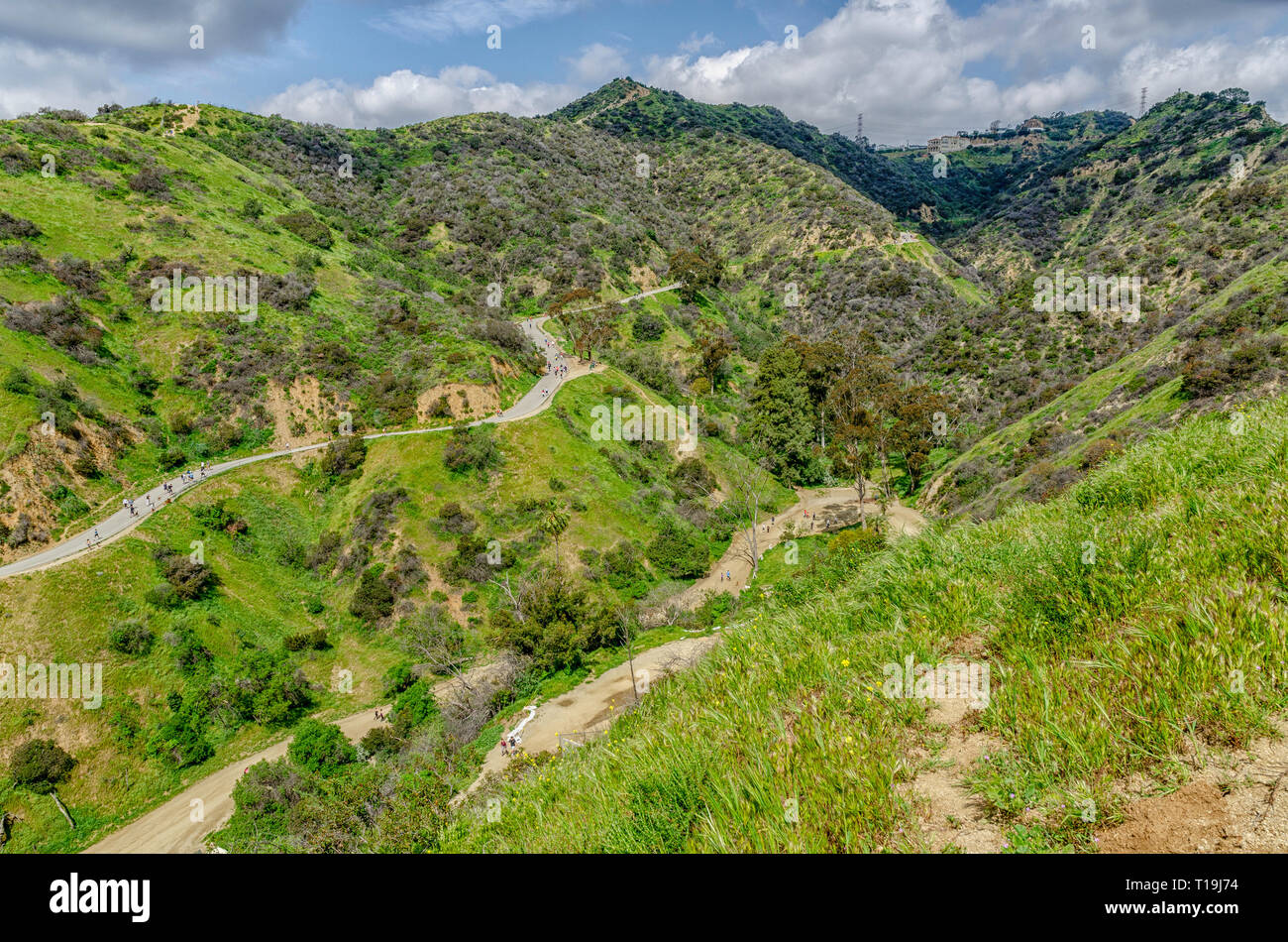 Wanderwege in Runyon Canyon, Los Angeles, CA. Stockfoto