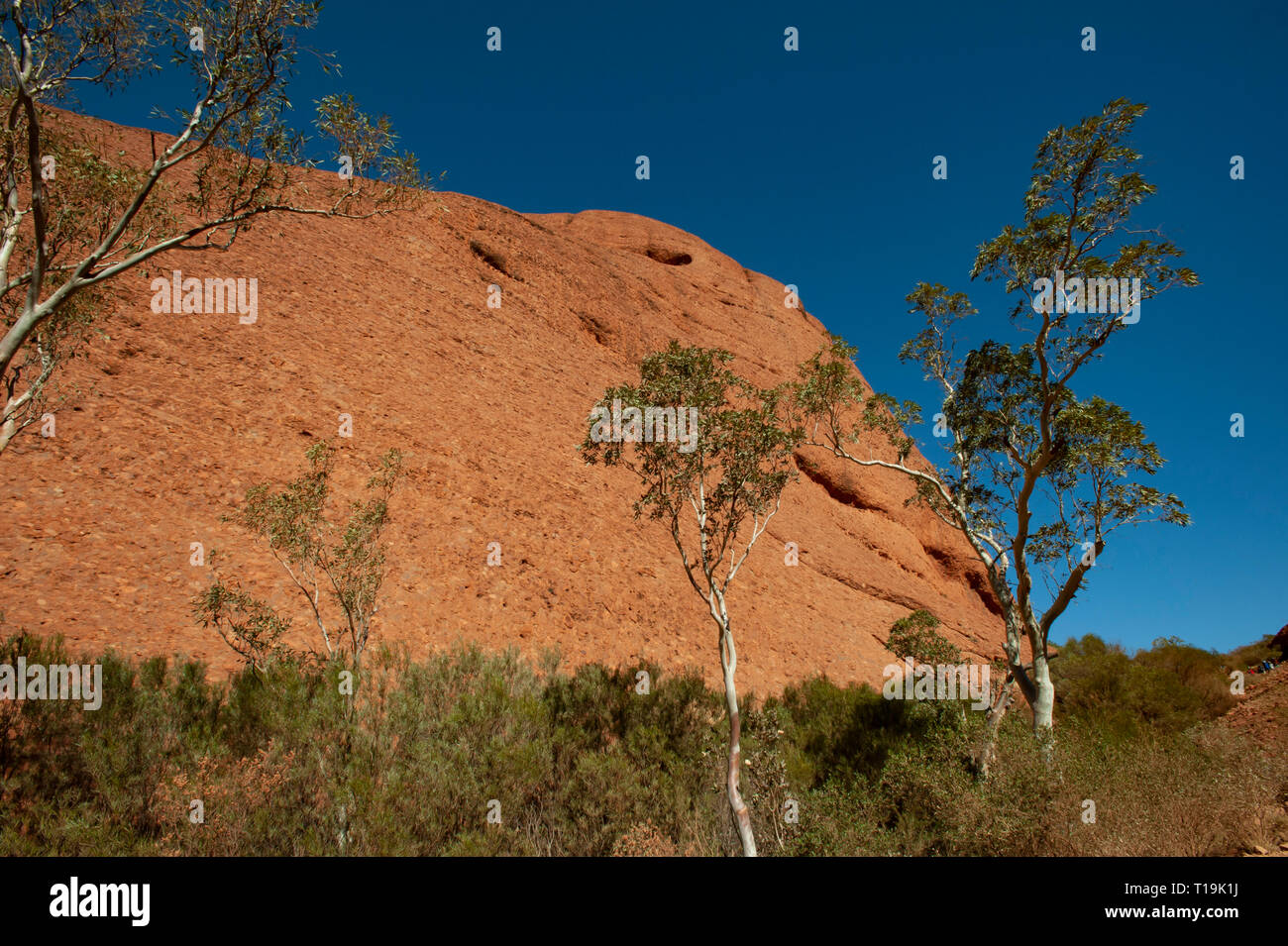 Gewölbte Formationen von Kata Tjuta, Northern Territory, Australien Stockfoto