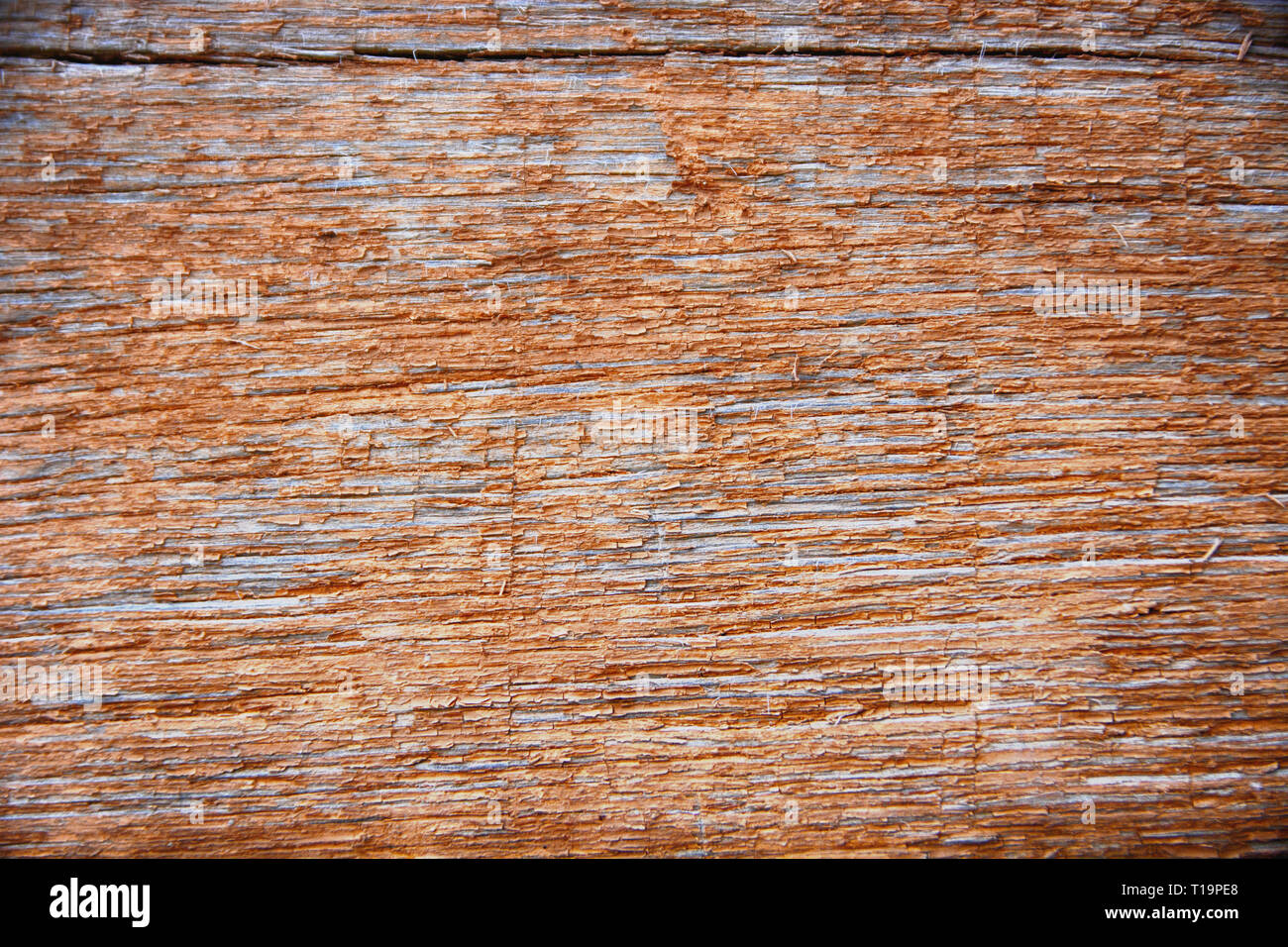 Altes Holz Wand mit Rissbildung Lackierbereich. Hintergrund grunge Textur. Stockfoto