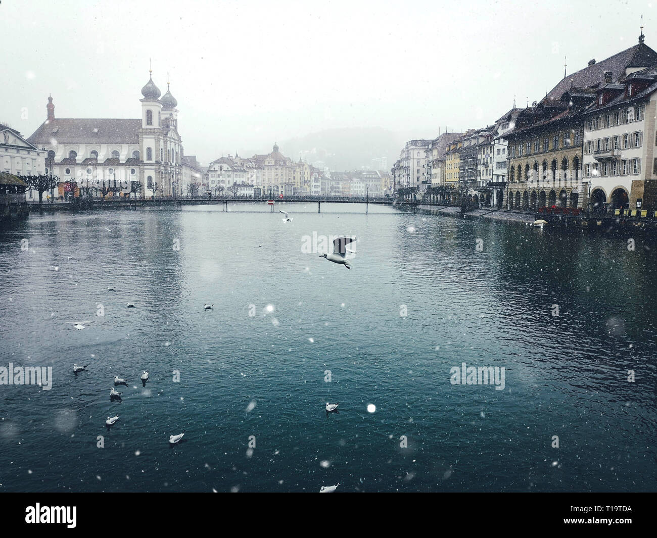 Luzern im Winter. Die Schweiz. Travel Concept. Stockfoto