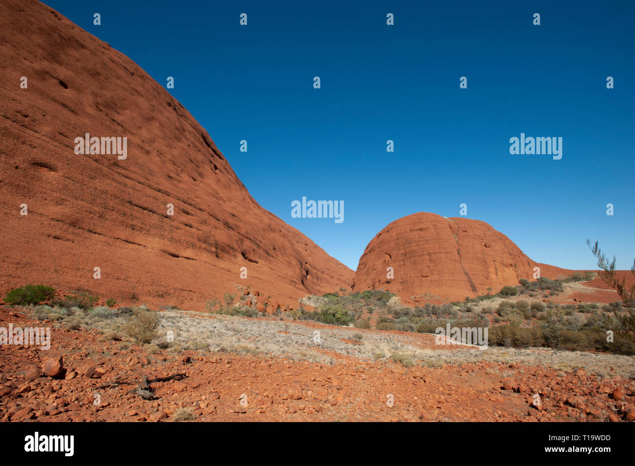 Gewölbte Formationen von Kata Tjuta, Northern Territory, Australien Stockfoto