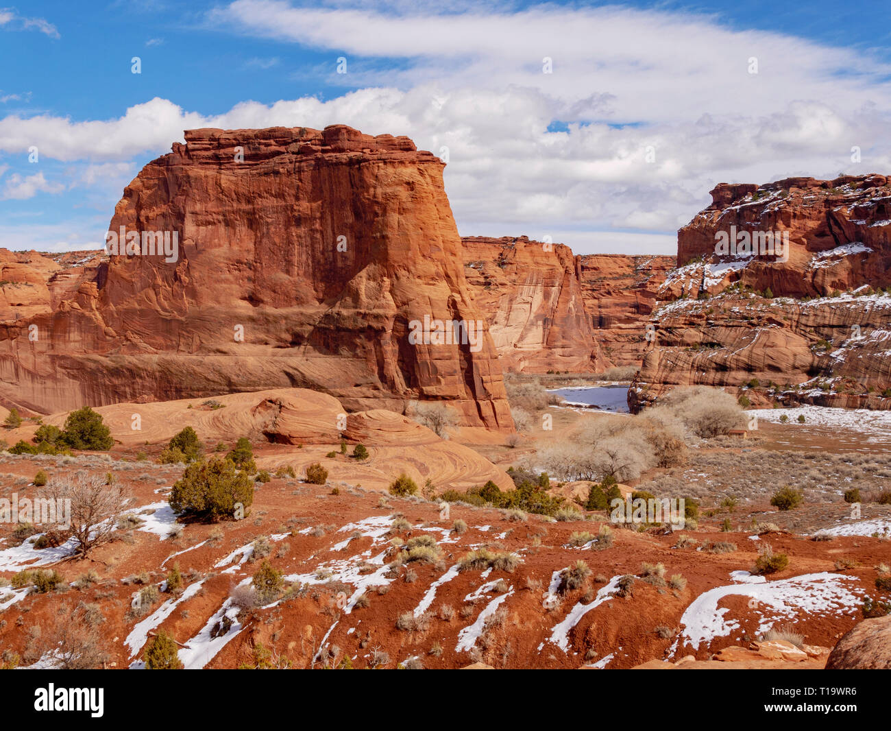 Auf dem Weißen Haus Ruine Trail. Canyon de Chelly National Monument, Arizona. Die einzige nationale Denkmal von Native Americans verwaltet. Stockfoto