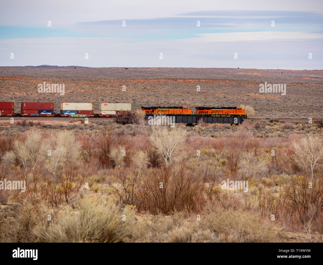 Güterzug die gemalte Wüste durchqueren. Petrified Forest National Park, Arizona. Stockfoto