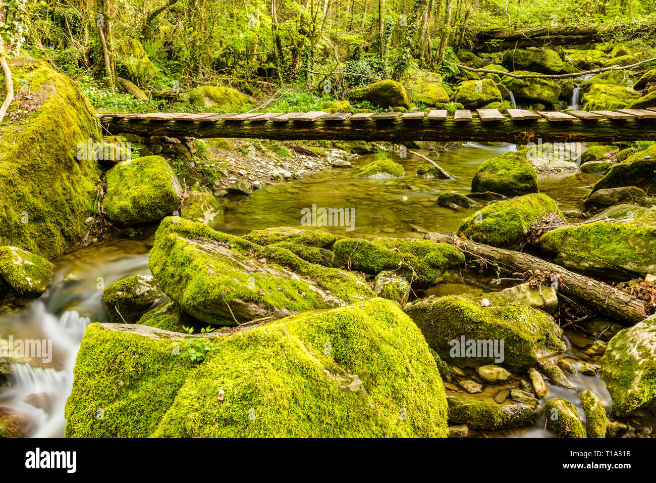 Kleine Wasserfälle auf einem Bach. Stockfoto