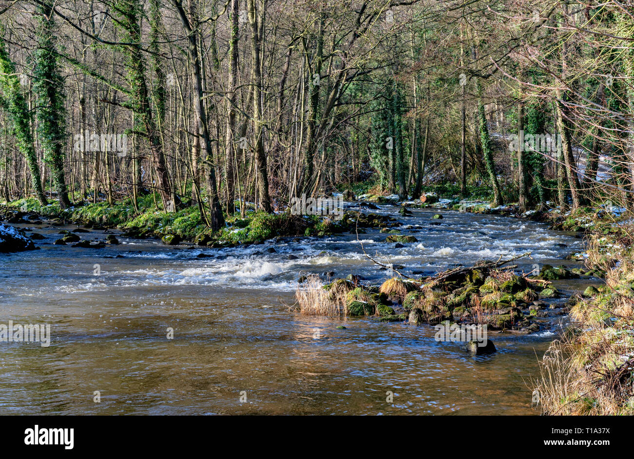 Der Fluss Esk in Egton Bridge Stockfoto