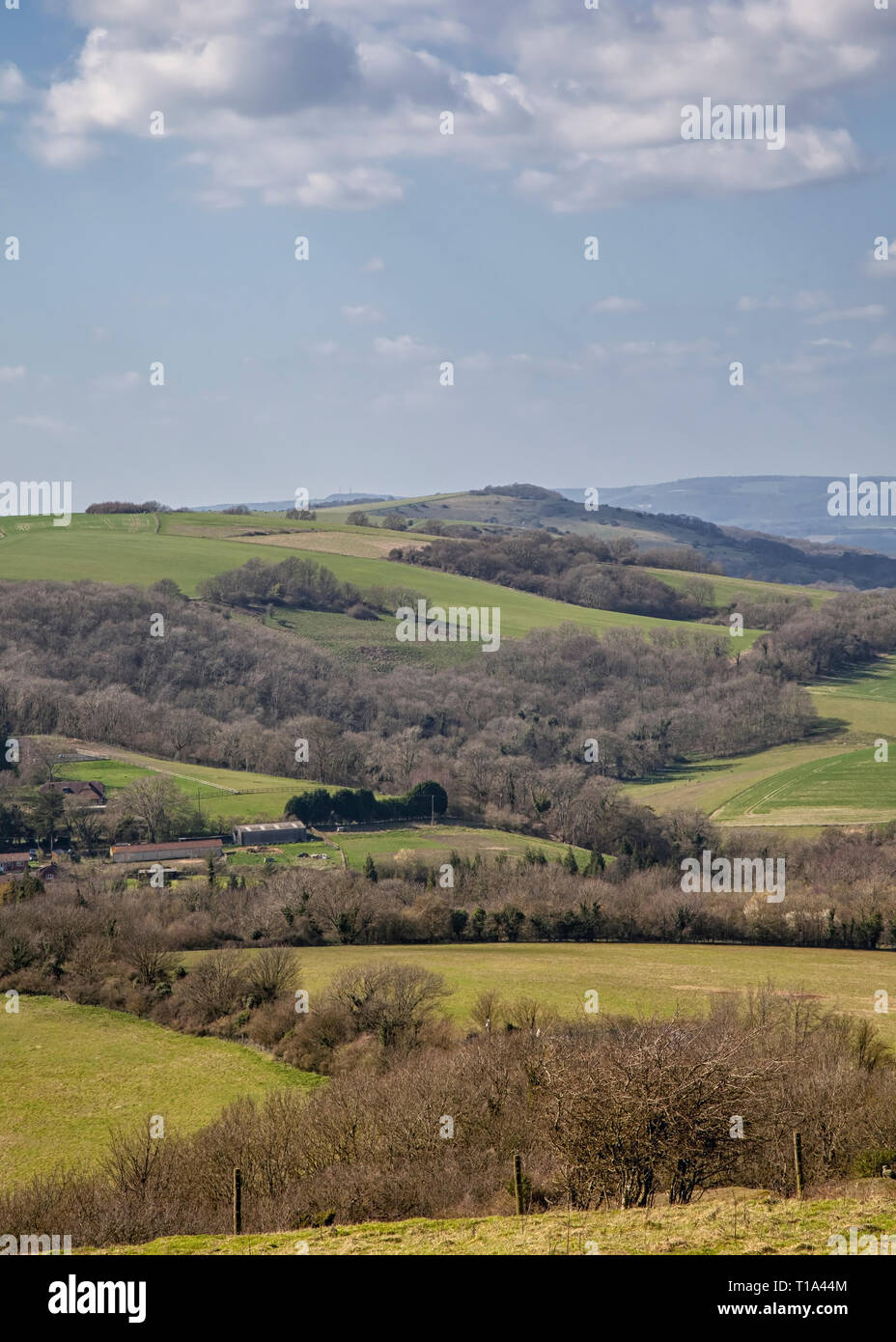 Entlang des South Downs Way, West Sussex Stockfoto