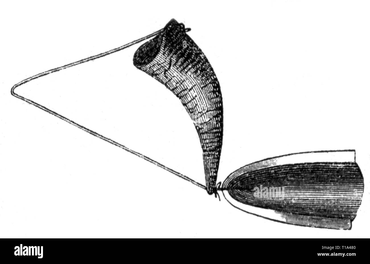 Aberglaube, Dämon, Devil's Rattle, gegen den bösen Geist Rattle, Horn für den guten Geist, Holzstich, Artist's Urheberrecht nicht gelöscht werden Stockfoto