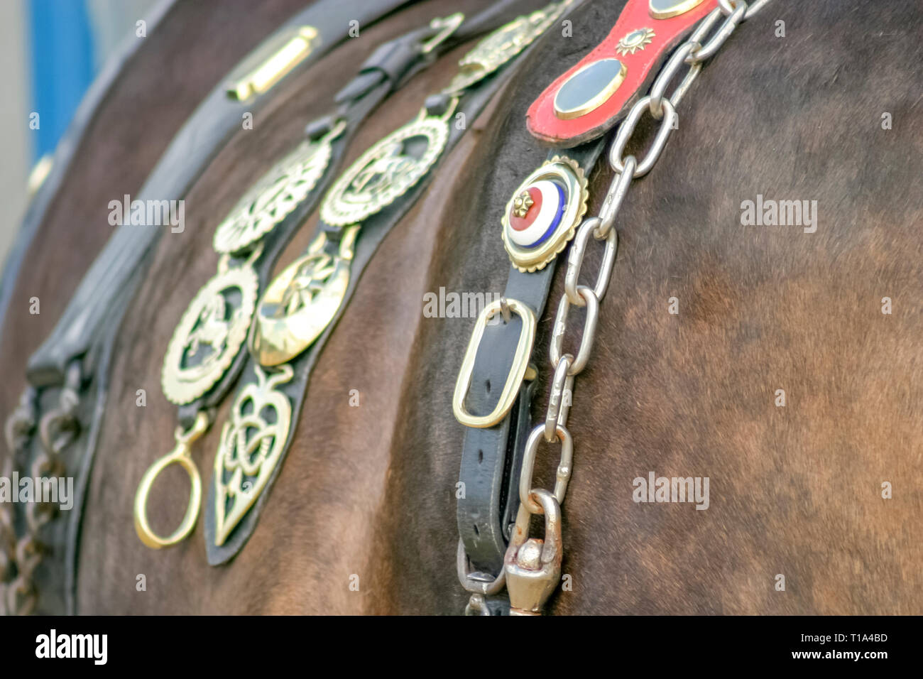 Ein Pferd Pflug an einem Volksfest mit Leder Harness und messinge Stockfoto