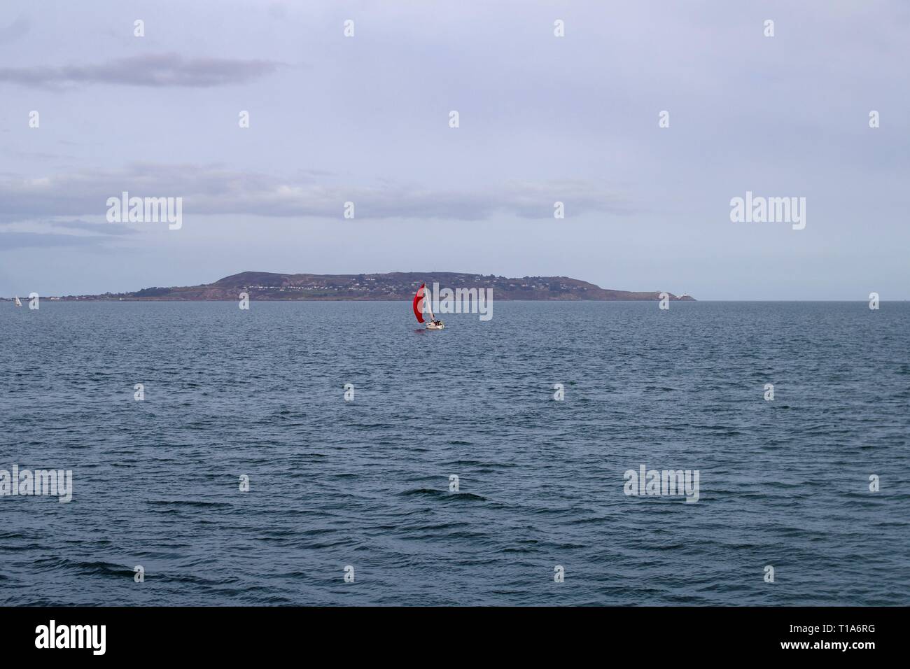 Eine Yacht mit einem markanten roten Segeln Segeln gegenüber Dun Laoghaire Hafen mit Howth Head im Hintergrund. Stockfoto