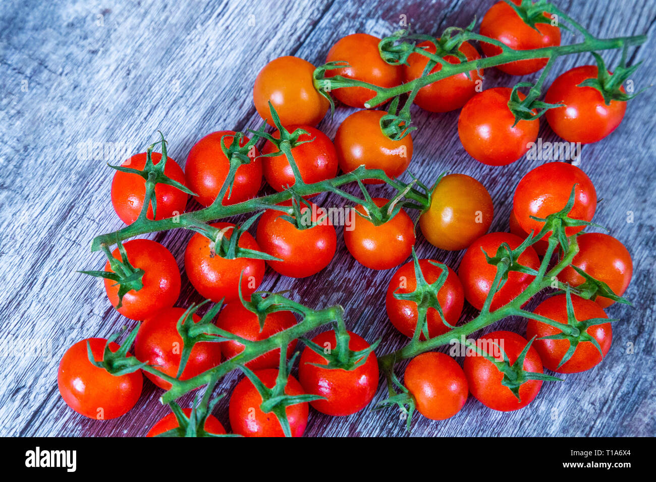 Kirsche Tomaten auf der Rebe auf einem Holz- Oberfläche. Stockfoto