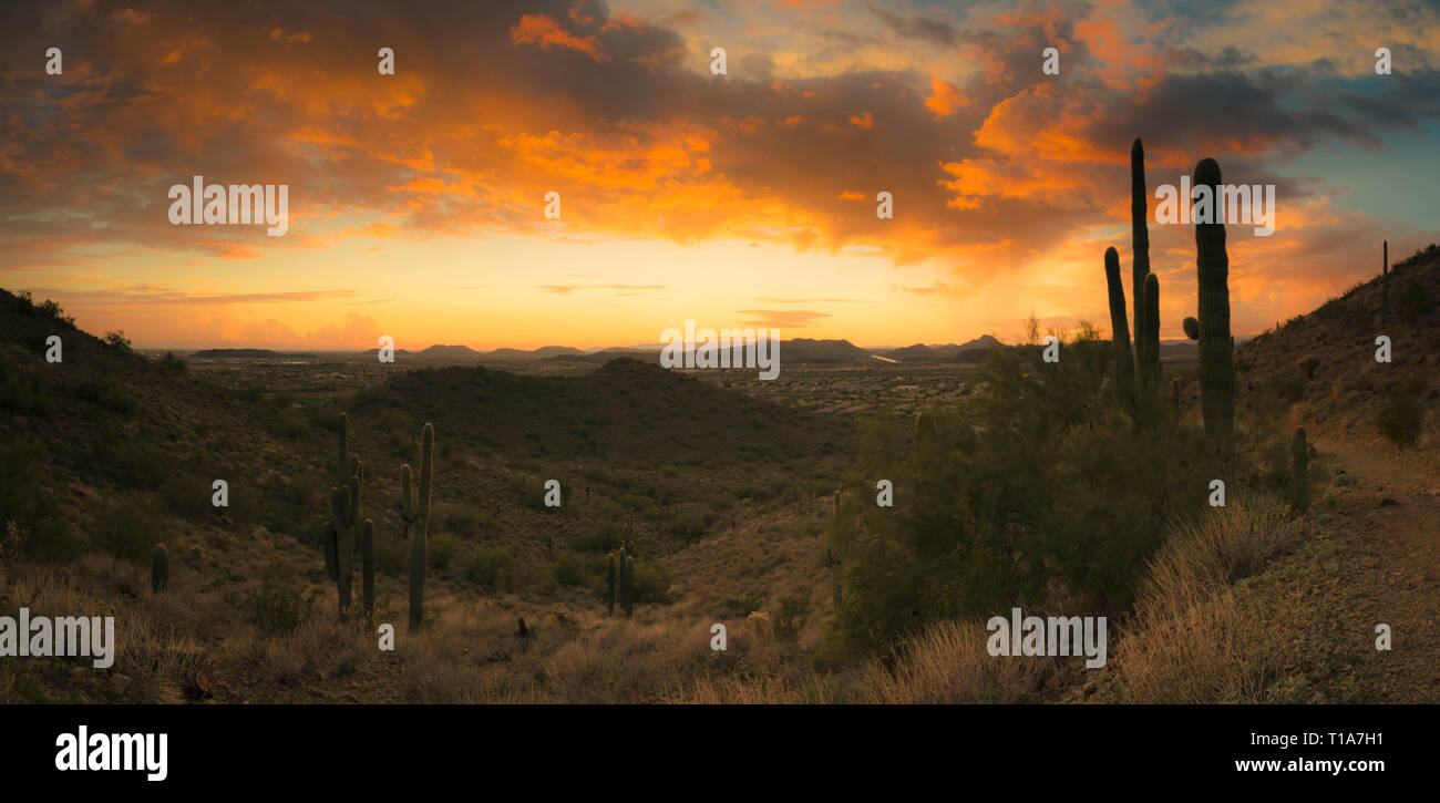 Ein Panorama mit einem Sonnenuntergang in der Wüste außerhalb von Phoenix, AZ. Dieses Bild sieht im Westen mit Saguaro Kaktus und bergige Wüste Gelände. Stockfoto