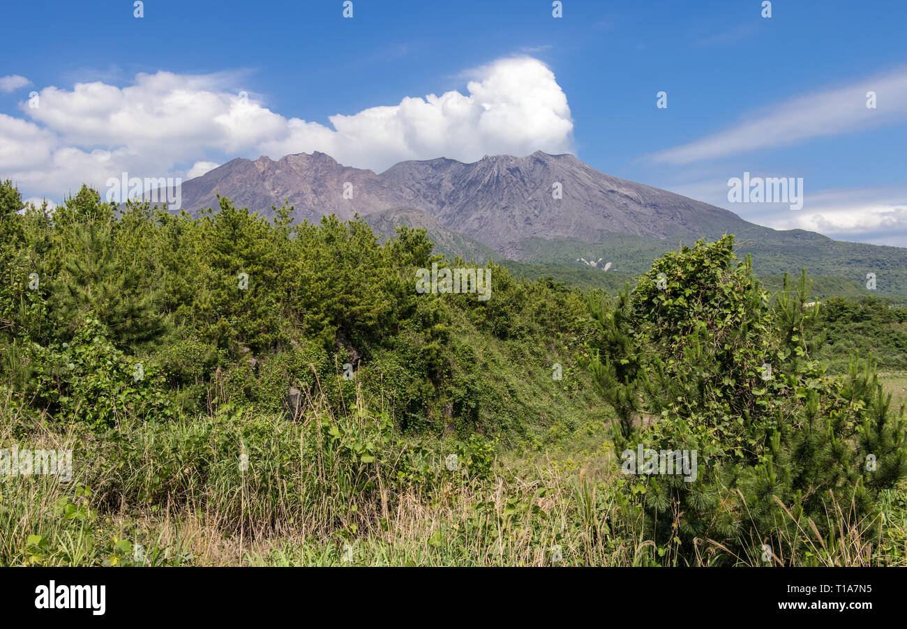 Krater des Vulkan Sakurajima ausgebrochen, durch die grüne Landschaft. Vom Aussichtspunkt (Aussichtspunkt). Kagoshima, Kyushu, südlich von Japan Stockfoto