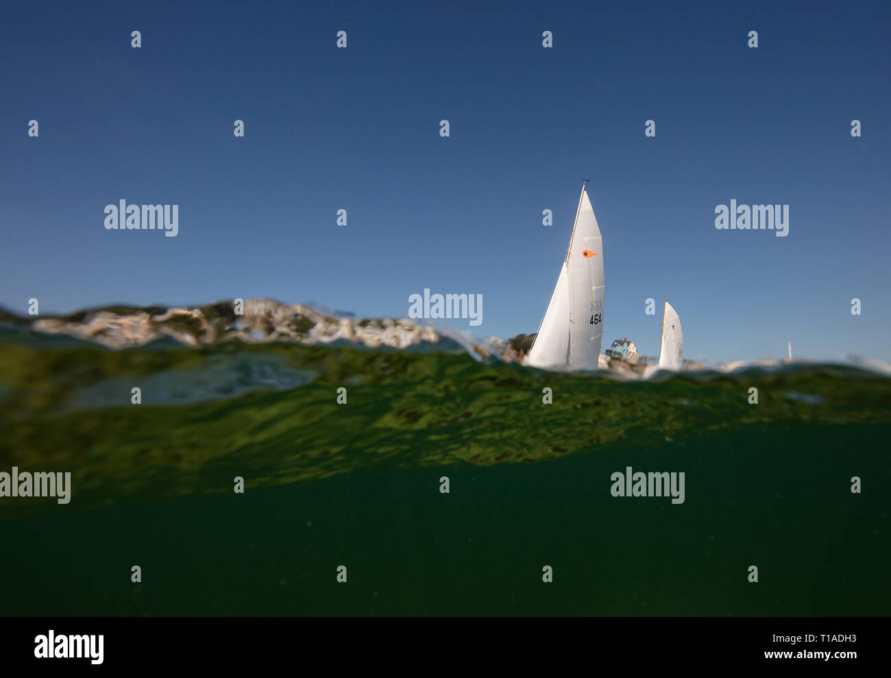Eine Yacht segeln Vergangenheit während des Salcombe Stadt Regatta unter einem wunderschönen blauen Himmel. Stockfoto
