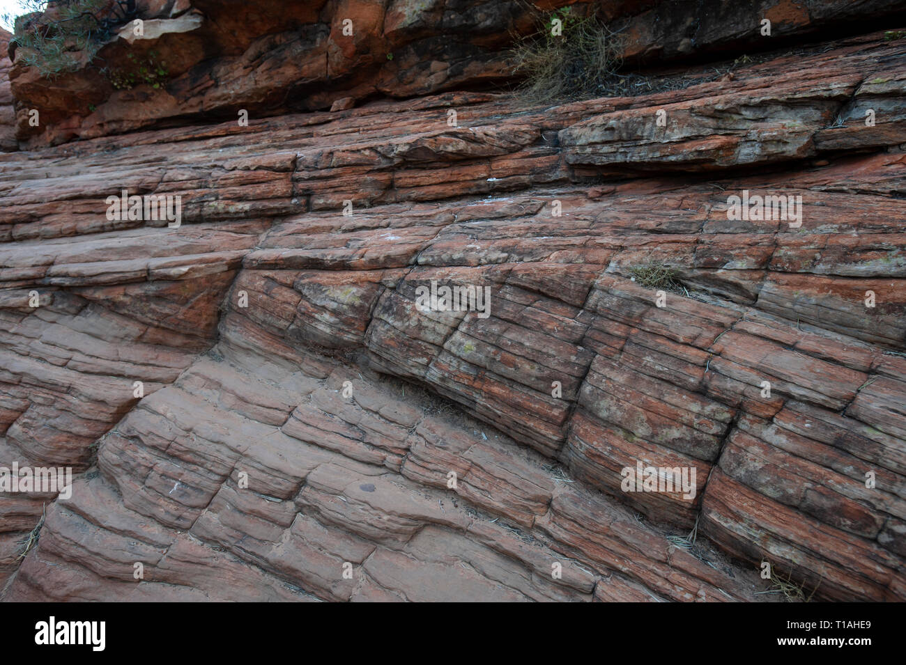 Tolles Beispiel für die Bettwäsche auf die Kings Canyon Rim Walk, Northern Territory, Australien Stockfoto