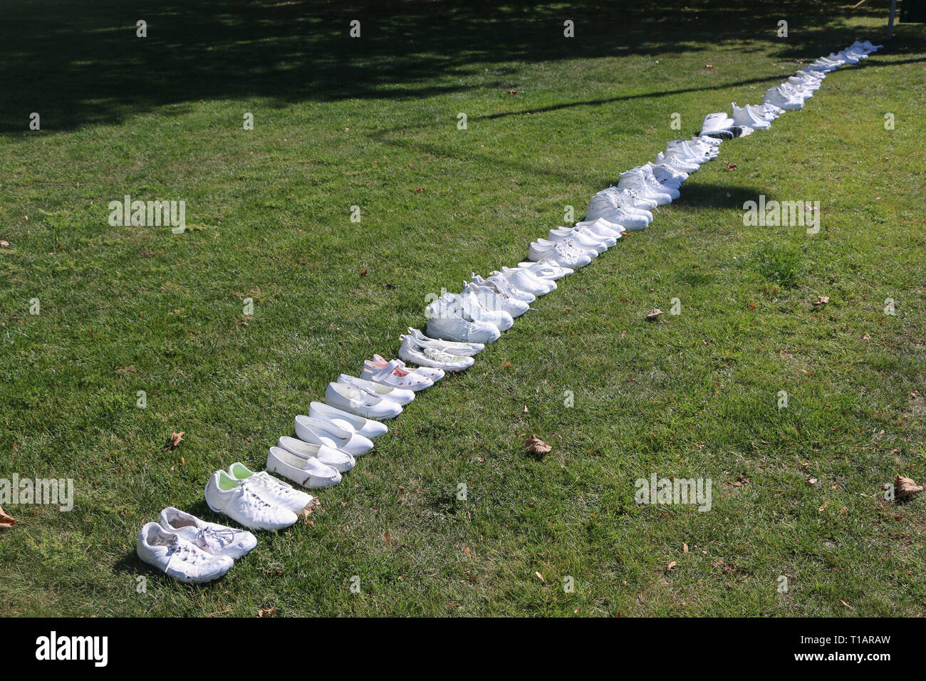 Christchurch, Canterbury, Neuseeland. 24 Mär, 2019. 50 Paar Schuhe wurden vor der Kirche All Souls, jedes Paar waren die 50 Opfer der Moscheen Terroranschläge, in dem 50 Personen durch einen einsamen Amokläufer getötet wurden zu Ehren. Die Kirche wurde erst vor kurzem nach aufgebaut, das ursprüngliche Gebäude in der Christchurch Erdbeben zerstört wurde erneut geöffnet. Rund 50 Personen hat angeblich in der Christchurch getötet wurden Moscheen Terroranschlag schießen Targeting die Masjid Al Noor Moschee und die linwood Moschee. Quelle: Adam Bradley/SOPA Images/ZUMA Draht/Alamy leben Nachrichten Stockfoto