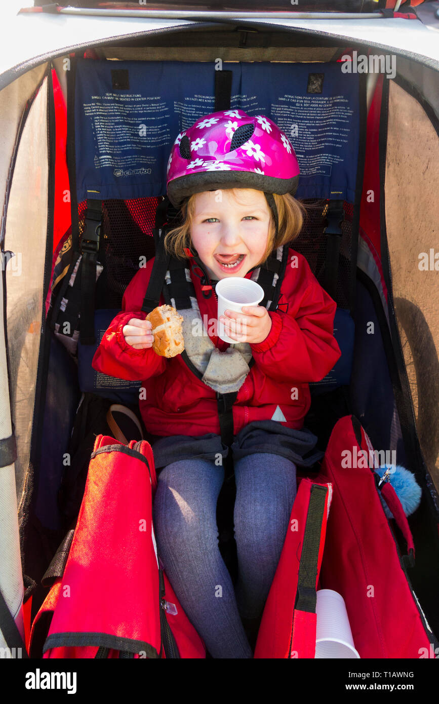 Kleines Kind im Alter von 4 oder 5 Jahren, mit einem Drink und Frühstück auf einem Fahrradanhängersitz. Twickenham, London, Großbritannien. März 2019. Kinder des Saint Richard Reynolds Catholic College (High School und Primary School) bei der nationalen Einführung Der Big Pedal Cycling Challenge durch Sustrans, um Kinder zum Fahrradfahren, Schrecken oder gehen zur Schule zu bewegen, anstatt das Auto zu benutzen. Die Veranstaltung wurde von ITN, der BBC und lokalen Medien abgedeckt. Big Pedal ist die größte Herausforderung für das Fahrradfahren, gehen und Schrecken in den Schulen in Großbritannien. Stockfoto