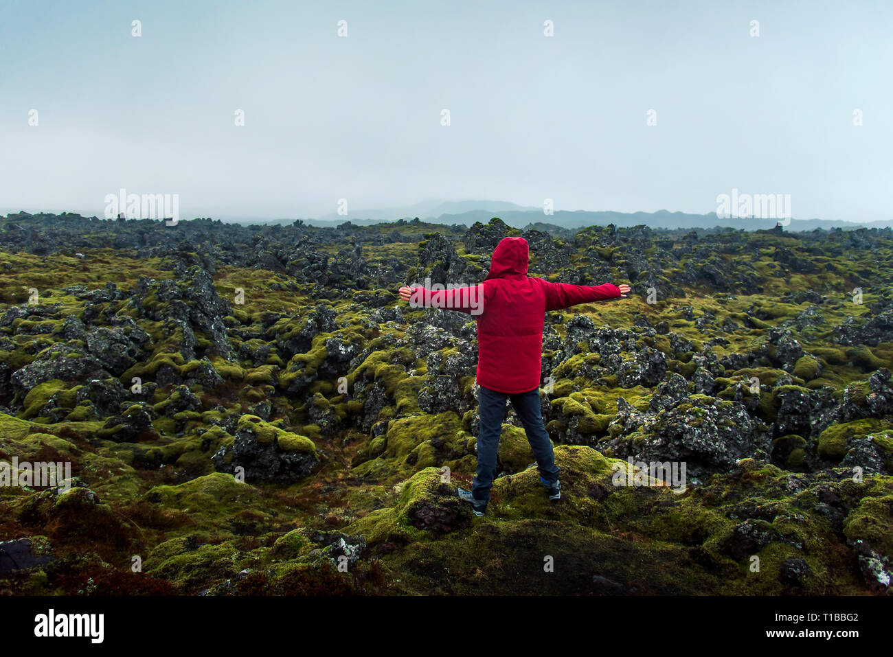 Man genießt Lavafeld Landschaft in Island Stockfoto