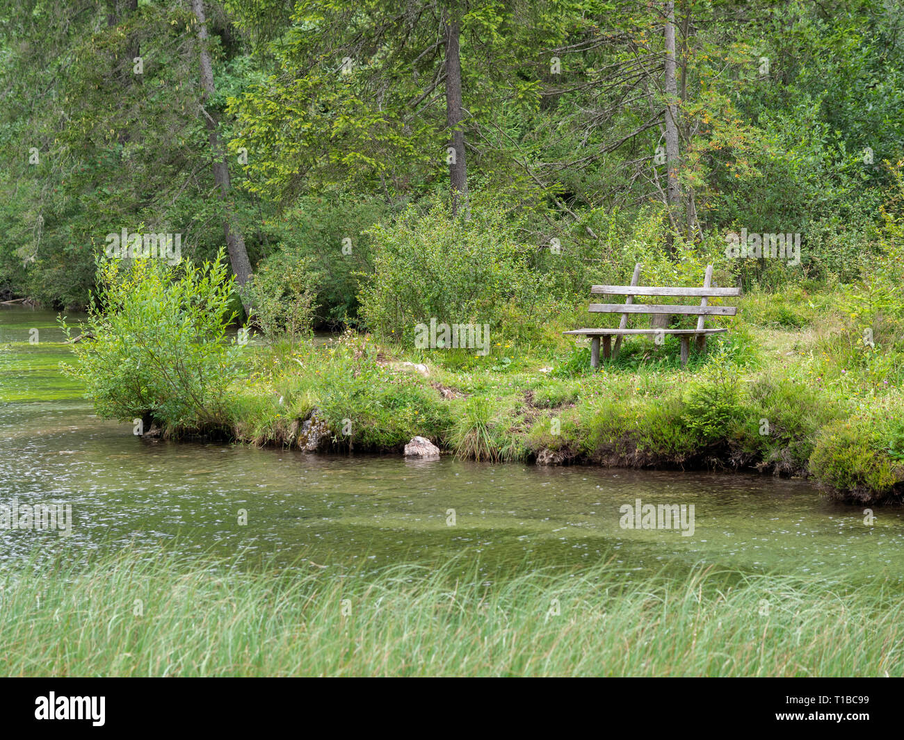 Bank in der Nähe von Teich Stockfoto