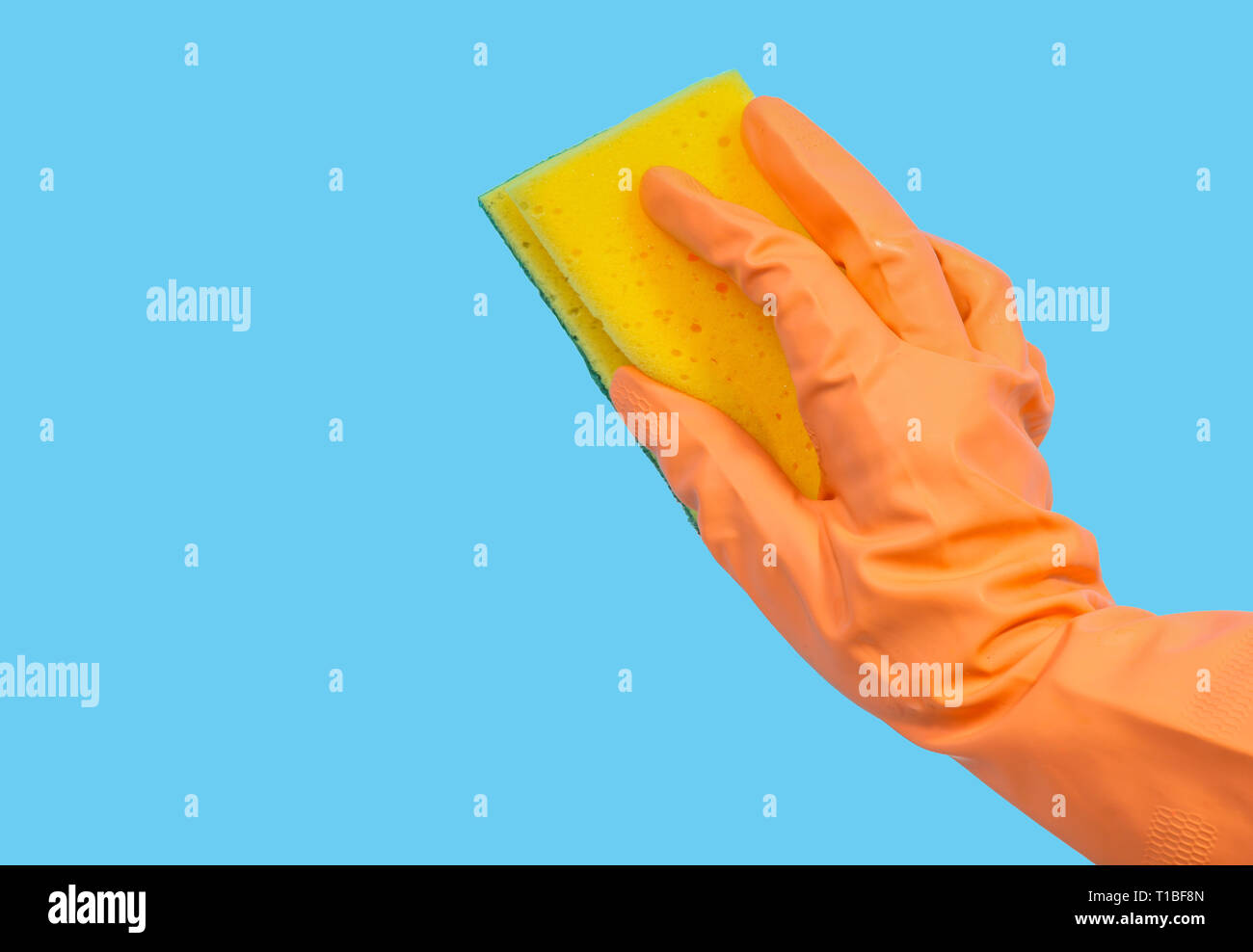 Orange behandschuhte Hand Reinigung mit Schwamm auf blauem Hintergrund Stockfoto