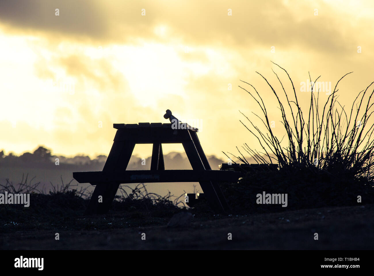 Lonely Spielzeug verloren Stockfoto