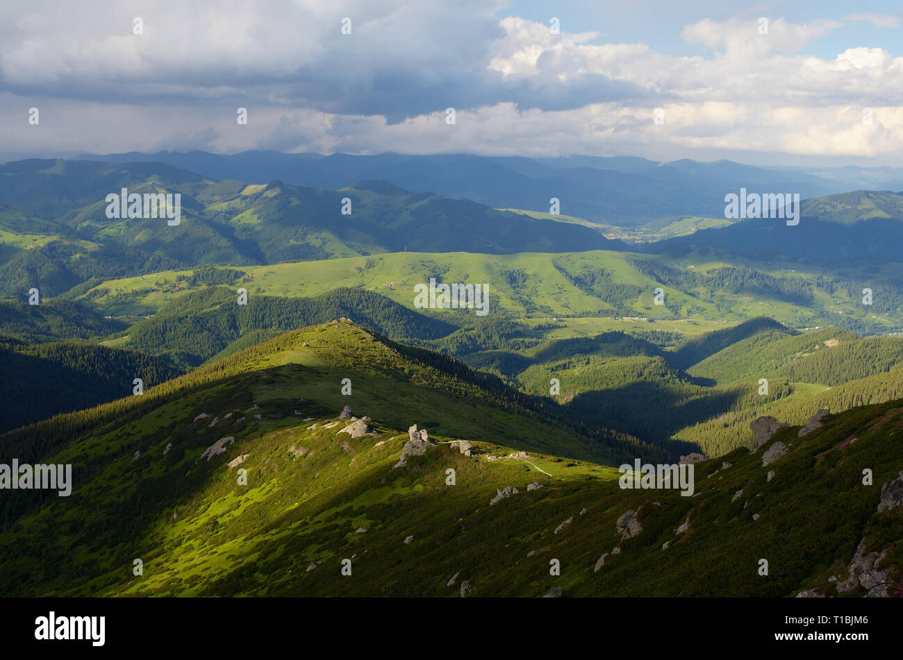 Blick vom Berg ins Tal. Sommer Landschaft. Karpaten, Ukraine. Europa Stockfoto